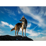 Maxbell DIY Diamond Painting Embroidery Cross Crafts Stitch Kit Wolf