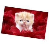 Maxbell DIY Diamond Painting Embroidery Cross Crafts Stitch Kit Cute Cat