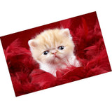 Maxbell DIY Diamond Painting Embroidery Cross Crafts Stitch Kit Cute Cat