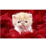 Maxbell DIY Diamond Painting Embroidery Cross Crafts Stitch Kit Cute Cat