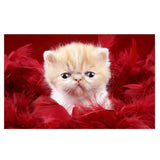 Maxbell DIY Diamond Painting Embroidery Cross Crafts Stitch Kit Cute Cat