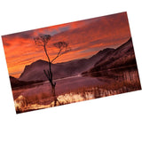 Maxbell DIY Diamond Painting Embroidery Cross Crafts Stitch Kit Autumn Scene