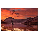 Maxbell DIY Diamond Painting Embroidery Cross Crafts Stitch Kit Autumn Scene