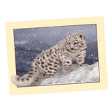 Maxbell Animal DIY 5D Diamond Painting Embroidery Cross Crafts Stitch Kit Leopard 1