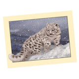 Maxbell Animal DIY 5D Diamond Painting Embroidery Cross Crafts Stitch Kit Leopard 1