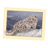 Maxbell Animal DIY 5D Diamond Painting Embroidery Cross Crafts Stitch Kit Leopard 1