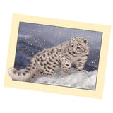 Maxbell Animal DIY 5D Diamond Painting Embroidery Cross Crafts Stitch Kit Leopard 1