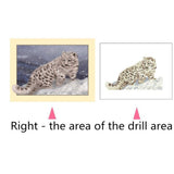 Maxbell Animal DIY 5D Diamond Painting Embroidery Cross Crafts Stitch Kit Leopard 1