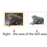 Maxbell Animal DIY 5D Diamond Painting Embroidery Cross Crafts Stitch Kit Leopard 2