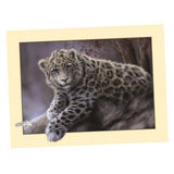 Maxbell Animal DIY 5D Diamond Painting Embroidery Cross Crafts Stitch Kit Leopard 2