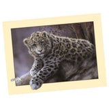 Maxbell Animal DIY 5D Diamond Painting Embroidery Cross Crafts Stitch Kit Leopard 2