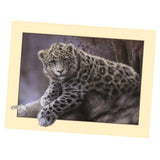 Maxbell Animal DIY 5D Diamond Painting Embroidery Cross Crafts Stitch Kit Leopard 2