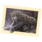 Maxbell Animal DIY 5D Diamond Painting Embroidery Cross Crafts Stitch Kit Leopard 2