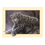 Maxbell Animal DIY 5D Diamond Painting Embroidery Cross Crafts Stitch Kit Leopard 2