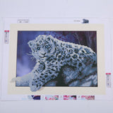 Maxbell Animal DIY 5D Diamond Painting Embroidery Cross Crafts Stitch Kit Leopard 2