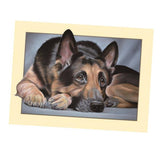 Maxbell Animal DIY 5D Diamond Painting Embroidery Cross Crafts Stitch Kit Dog