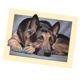 Maxbell Animal DIY 5D Diamond Painting Embroidery Cross Crafts Stitch Kit Dog