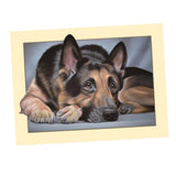 Maxbell Animal DIY 5D Diamond Painting Embroidery Cross Crafts Stitch Kit Dog