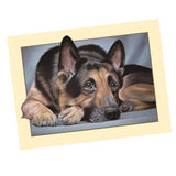 Maxbell Animal DIY 5D Diamond Painting Embroidery Cross Crafts Stitch Kit Dog