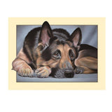 Maxbell Animal DIY 5D Diamond Painting Embroidery Cross Crafts Stitch Kit Dog