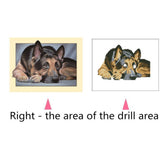 Maxbell Animal DIY 5D Diamond Painting Embroidery Cross Crafts Stitch Kit Dog