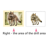 Maxbell Animal DIY 5D Diamond Painting Embroidery Cross Crafts Stitch Kit Wolf 1