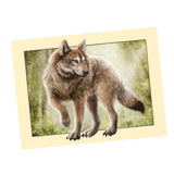 Maxbell Animal DIY 5D Diamond Painting Embroidery Cross Crafts Stitch Kit Wolf 1
