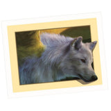 Maxbell Animal DIY 5D Diamond Painting Embroidery Cross Crafts Stitch Kit Wolf 2