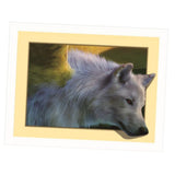 Maxbell Animal DIY 5D Diamond Painting Embroidery Cross Crafts Stitch Kit Wolf 2