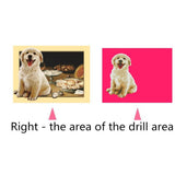 Maxbell Animal DIY 5D Diamond Painting Embroidery Cross Crafts Stitch Kit Cute Dog