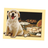Maxbell Animal DIY 5D Diamond Painting Embroidery Cross Crafts Stitch Kit Cute Dog
