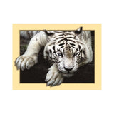 Maxbell DIY 5D Diamond Embroidery Painting Tiger Cross Stitch Art Kit White Tiger