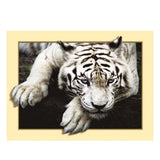 Maxbell DIY 5D Diamond Embroidery Painting Tiger Cross Stitch Art Kit White Tiger