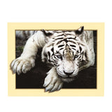 Maxbell DIY 5D Diamond Embroidery Painting Tiger Cross Stitch Art Kit White Tiger