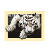 Maxbell DIY 5D Diamond Embroidery Painting Tiger Cross Stitch Art Kit White Tiger