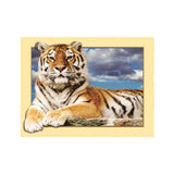 Maxbell DIY 5D Diamond Embroidery Painting Tiger Cross Stitch Art Kit Tigger Sky