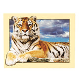 Maxbell DIY 5D Diamond Embroidery Painting Tiger Cross Stitch Art Kit Tigger Sky