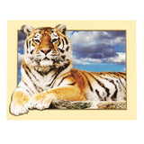 Maxbell DIY 5D Diamond Embroidery Painting Tiger Cross Stitch Art Kit Tigger Sky
