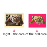Maxbell DIY 5D Diamond Embroidery Painting Tiger Cross Stitch Art Kit Tigger Stone