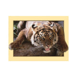 Maxbell DIY 5D Diamond Embroidery Painting Tiger Cross Stitch Art Kit Tigger Stone