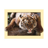 Maxbell DIY 5D Diamond Embroidery Painting Tiger Cross Stitch Art Kit Tigger Stone