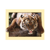 Maxbell DIY 5D Diamond Embroidery Painting Tiger Cross Stitch Art Kit Tigger Stone