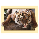 Maxbell DIY 5D Diamond Embroidery Painting Tiger Cross Stitch Art Kit Tigger Stone