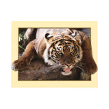 Maxbell DIY 5D Diamond Embroidery Painting Tiger Cross Stitch Art Kit Tigger Stone