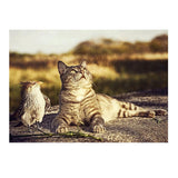 Maxbell DIY 5D Diamond Embroidery Painting Cross Stitch Kit Crafts Cat