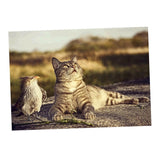 Maxbell DIY 5D Diamond Embroidery Painting Cross Stitch Kit Crafts Cat