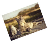 Maxbell DIY 5D Diamond Embroidery Painting Cross Stitch Kit Crafts Cat
