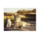 Maxbell DIY 5D Diamond Embroidery Painting Cross Stitch Kit Crafts Cat