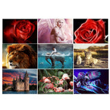 Maxbell DIY 5D Diamond Embroidery Painting Cross Stitch Kit Crafts Rose Flower