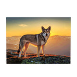 Maxbell DIY Diamond Painting Embroidery Paint By Number Kits Animal